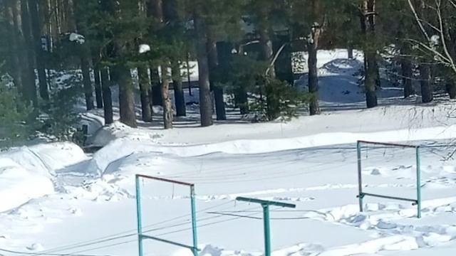 Печально, что так всё 🥺🐾🌈