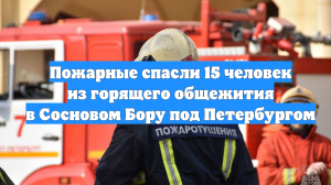 Пожарные спасли 15 человек из горящего общежития в Сосновом Бору под Петербургом