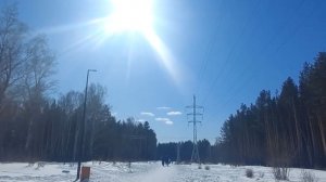 Февраль .Ждём весну .Эко -парк Гремячая грива .Красноярск