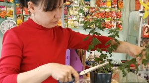 Дела рабочие. Посадила перцы. 
23 Февраля 2026г