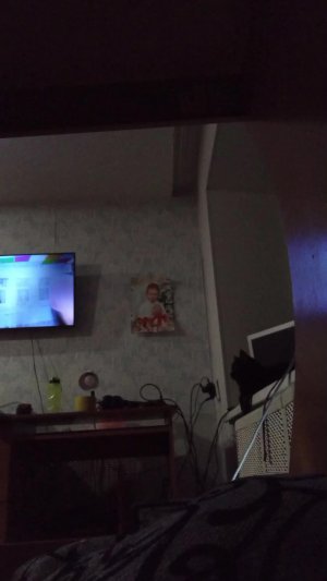 Сплю ( только не мешайте скримерами!)