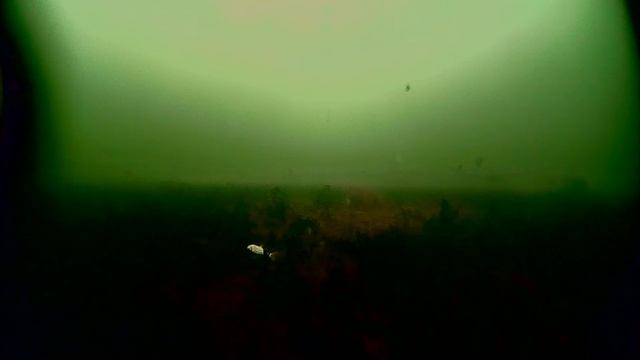 Мертвый(задохнувшийся) пруд