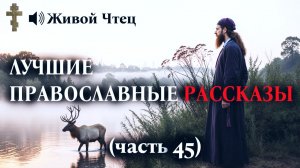 РЕБЕНОК ПРОПАЛ в тайге на 3 дня... ЛУЧШИЕ ПРАВОСЛАВНЫЕ РАССКАЗЫ часть 45