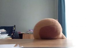 Дискотека Clubstep