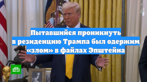 Пытавшийся проникнуть в резиденцию Трампа был одержим «злом» в файлах Эпштейна