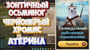 БДО. Зонтичный осьминог. Чернопёрый хромис. Атерина. Рыболовные соревнования 23-28.02.2026