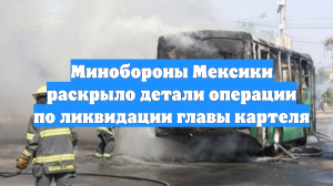 Минобороны Мексики раскрыло детали операции по ликвидации главы картеля