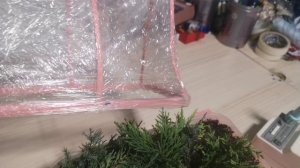 Тепличку из подручных средств