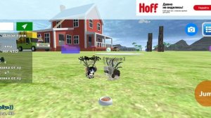 СВАДЬБА У ЭННИ И МУСИ!