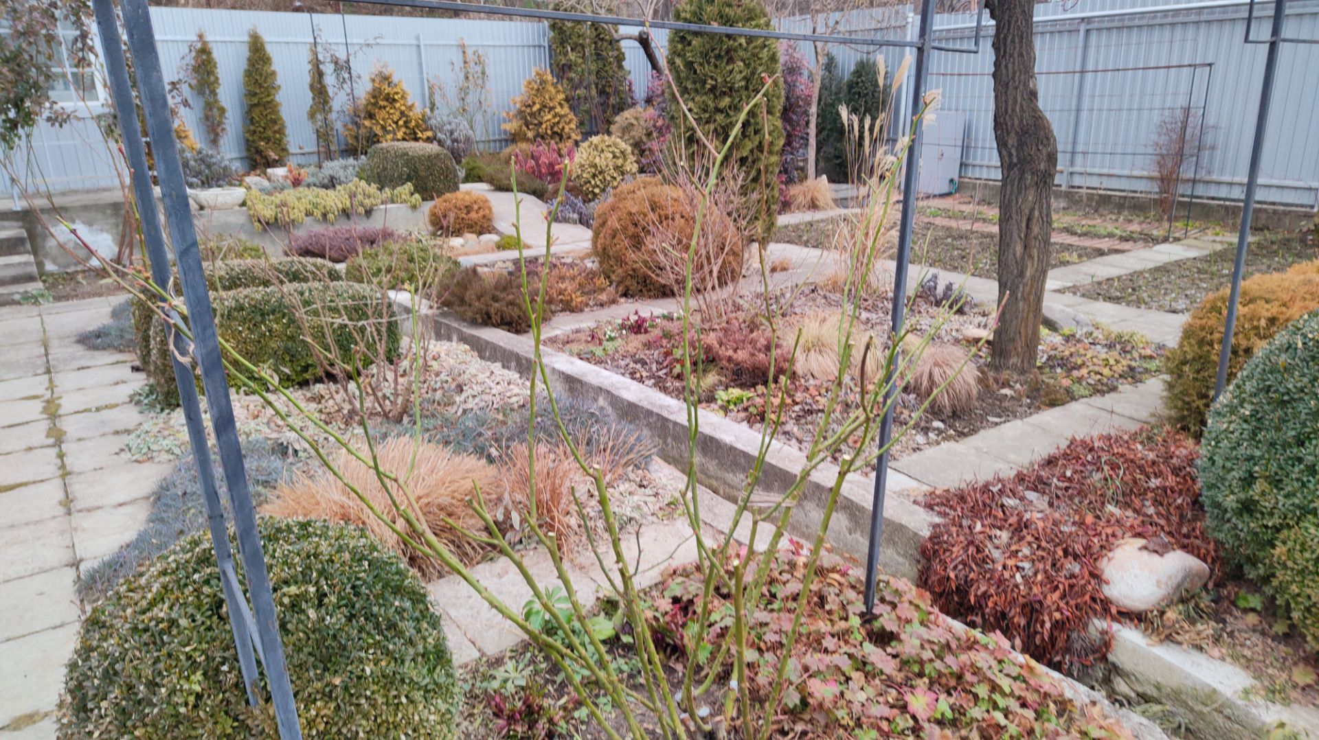 Покажу, как подвязала розы к опорам и как обрезала розу Элшорм 23.02.2026 г. Пятигорск. смотреть онлайн