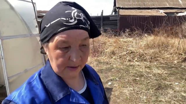 Отец кричит от боли Я на даче пашу смотреть онлайн