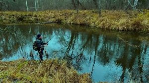 Рыбалка на спиннинг.  02.11. 2025 год.