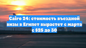 Cairo 24: стоимость въездной визы в Египет вырастет с марта с $25 до 30