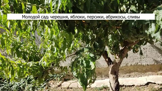 Обзор территории и дома Обзор территории и дома