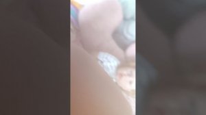 влог с реборном Лиамом