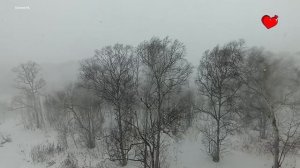 Замело 23 февраля.mp4