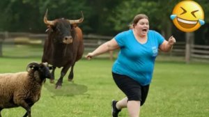 Прикольно и Необычайно Смешно