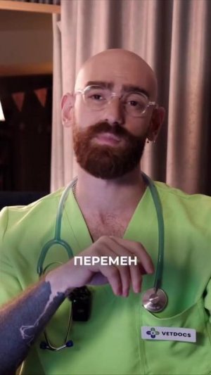 Подушечки лап кота расскажут всё о его характере — эксперты выделили пять типов подушечек