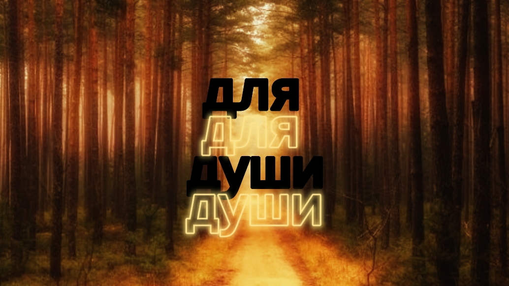 СОСНОВЫЙ ЛЕС ЗИМОЙ. КРАСИВЫЙ ЛЕС. ПРИРОДА смотреть онлайн