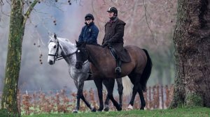 В Британии призвали усилить контроль за королевской семьей на фоне скандала