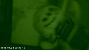 Тыквик меняет цветные профессии