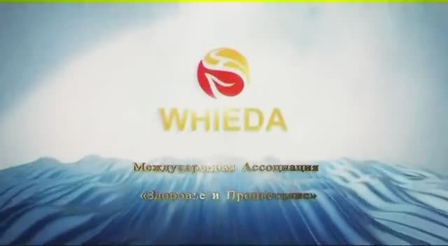 Whieda. О компании