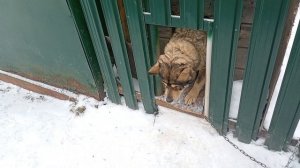 Андрей возвращение канала 10 PART FINALE 1 SEASON