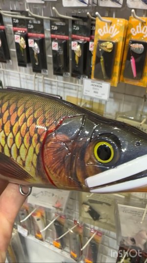 4. Джерковый обзор-Выставка-2026- ВДНХ