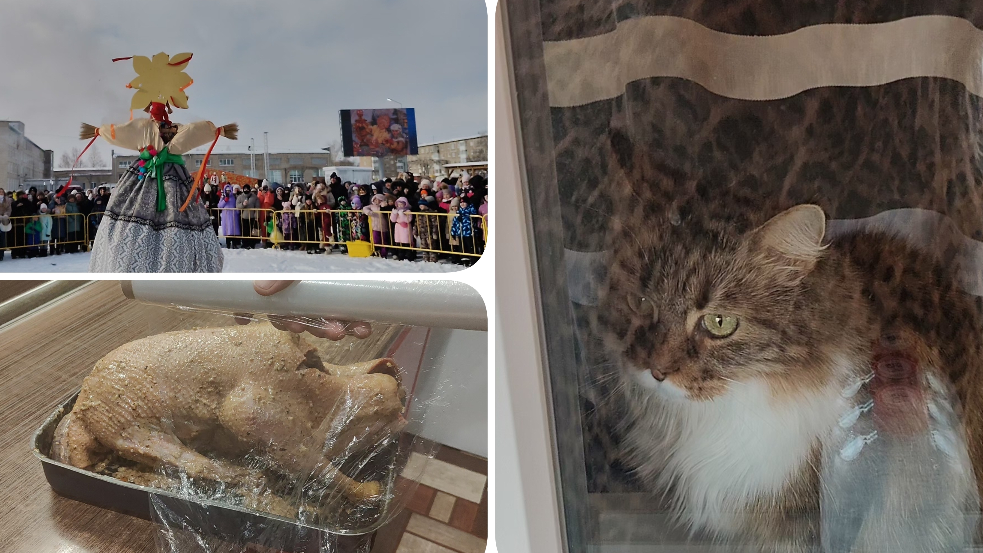 Маринуем гуся/ На празднике/ Проводы Русской зимы/ На ужин будет гусь/ смотреть онлайн