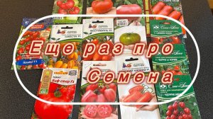 Посадили перец и немного томатов