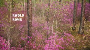 Радио-экспедиция по Дальнему Востоку. Часть 2.