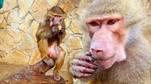 ПОЧЕМУ НЕ по графику трава ЗЕЛЕНАЯ, лежит СНЕГ и ЦВЕТЁТ Люся! Особенным ГАМАДРИЛАМ- ОСОБЕННЫЕ семки!