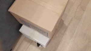 снимаю крысок! 🐀🐁