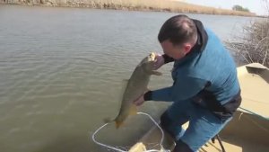 ВОТ ЭТО АСТРАХАНЬ! ПРОСТЕЙШАЯ СНАСТЬ СРАБОТАЛА! Рыбалка в Астрахани. Весна 2025