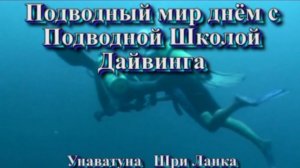 Унаватуна (Шри-Ланка) дневной дайвинг Unawatuna (Sri Lanka) Diving Day