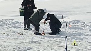 VID_20260223_133255_080