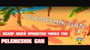 ОБЗОР МОЕЙ ПРИВАТКИ PELEMESHIK GAN!