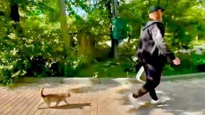 Кошка МонаЛиза ОЧЕНЬ УМНАЯ, она ждёт нас на аллее и идет за Владом домой к котятам и носушатам)))