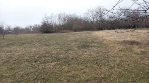 С 23 февраля мужчин!  ⭐Прогулка по огороду и болтология! Юг России 🌴