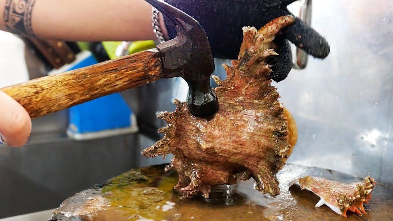 Гигант морская улитка ракушка Бангкок морепродукты Таиланд смотреть онлайн