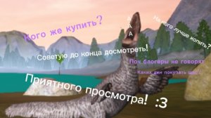 На кого лучше копить в Курседе?