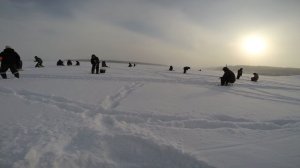 21-02-2026Рыболовные соревнования Чувашская Республика Козловский муниципальный округ г Козловка 21.