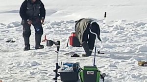 VID_20260223_115119_547