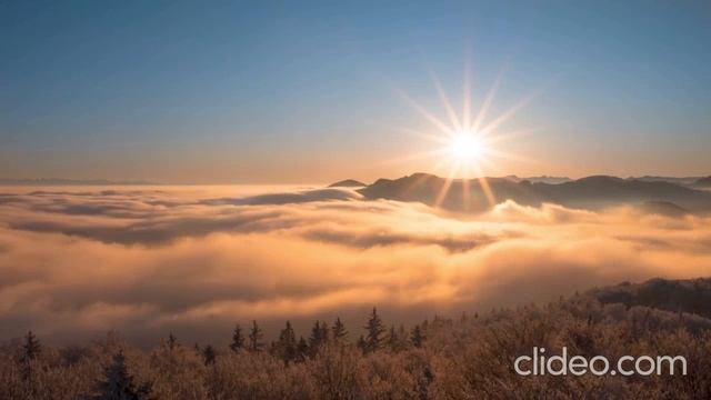 О тщете всего сущего