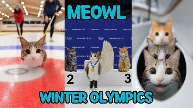 ОЛИМПИЙСКИЕ ИГРЫ МЯВЛА! ПОДБОРКА ЗАБАВНЫХ МОМЕНТОВ С КОТИКОМ МЯВЛОМ НА ЗИМНИХ ИГРАХ!  МИЛОТА РЕАКЦИЯ