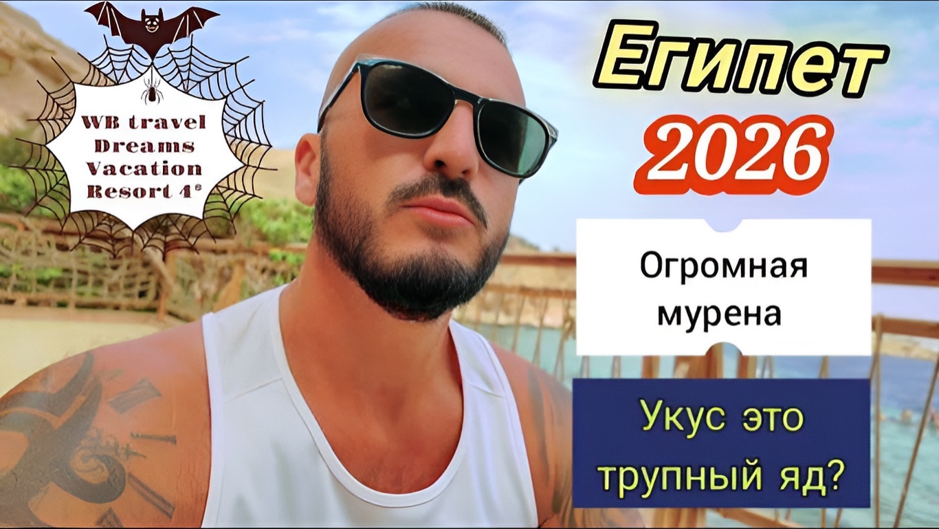 Египет 2026 🇪🇬 КАК ИЗМЕНИЛСЯ ОТДЫХ ‼️ ОГРОМНАЯ МУРЕНА WB travel Dreams Vacation Resort 4*