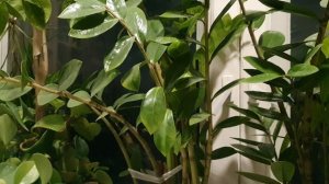 Да, жизнь смешна...