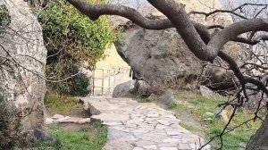 Крым.Алупка.15 февраля 2026.