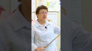 «Второй мозг» как микрофлора кишечника контролирует ваше настроение, решения и здоровье