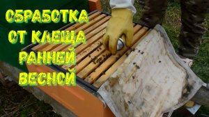 Обработка пчелиных семей от клеща после зимовки и проведение стимулирующей подкормки.